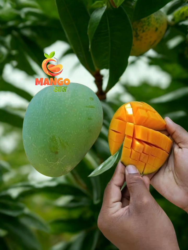 AM Mango Garden