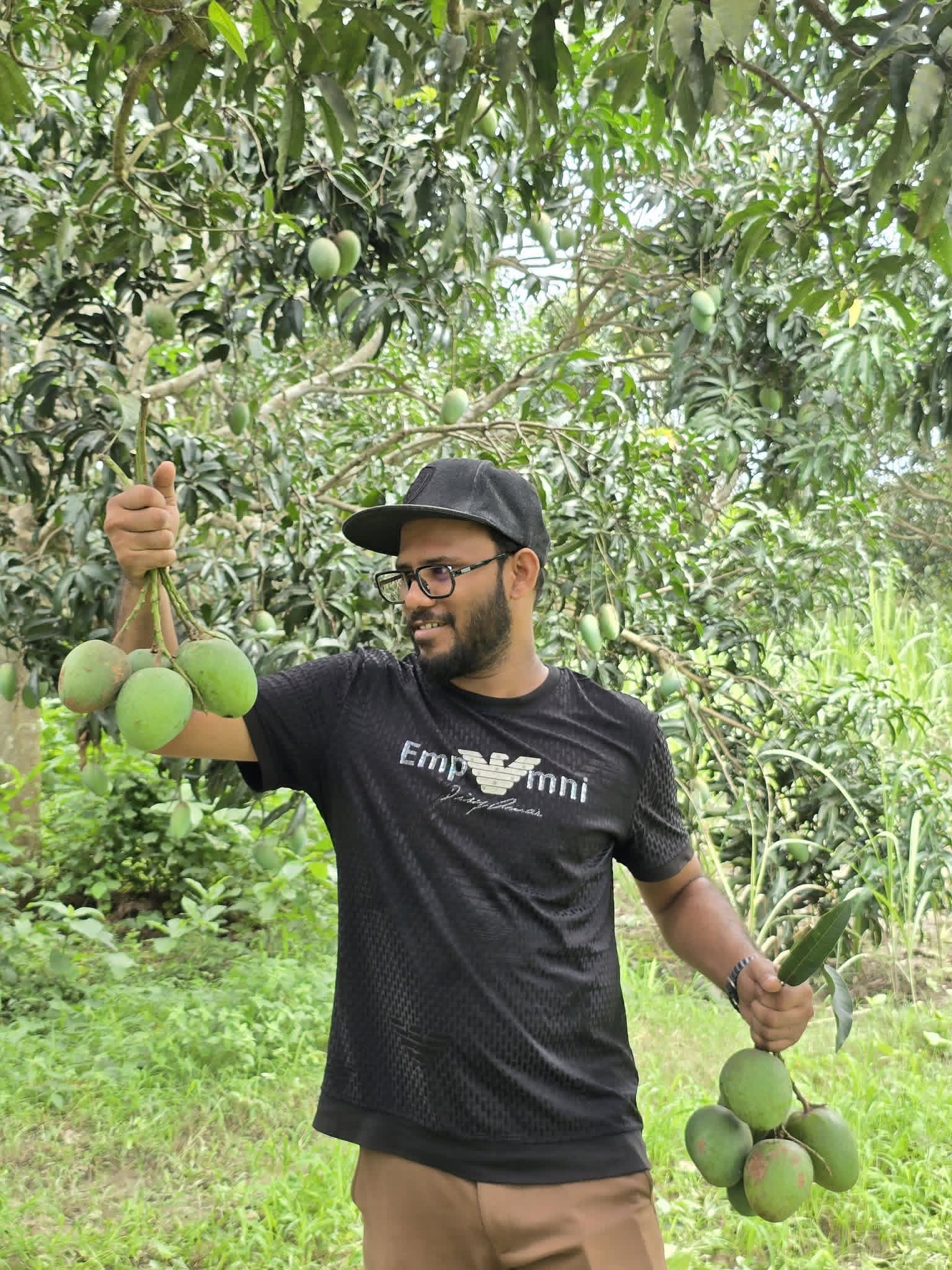 AM Mango প্রাকৃতিক