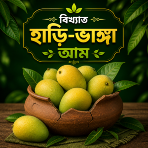হাড়ি ভাঙ্গা আম