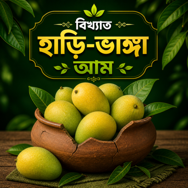 হাড়ি ভাঙ্গা আম ১২ কেজি