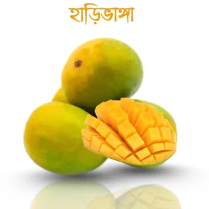 হাড়ি ভাঙ্গা আম